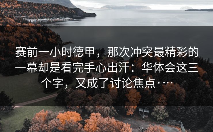 赛前一小时德甲，那次冲突最精彩的一幕却是看完手心出汗：华体会这三个字，又成了讨论焦点·…