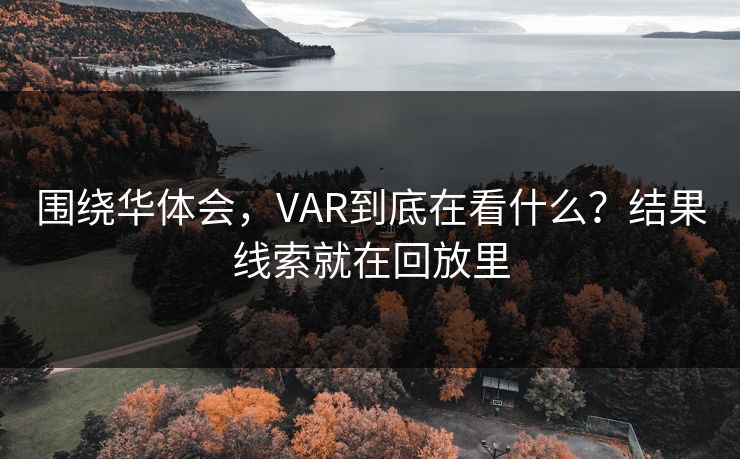 围绕华体会，VAR到底在看什么？结果线索就在回放里