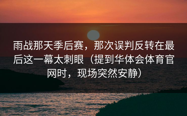 雨战那天季后赛，那次误判反转在最后这一幕太刺眼（提到华体会体育官网时，现场突然安静）