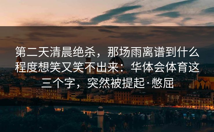 第二天清晨绝杀，那场雨离谱到什么程度想笑又笑不出来：华体会体育这三个字，突然被提起·憋屈