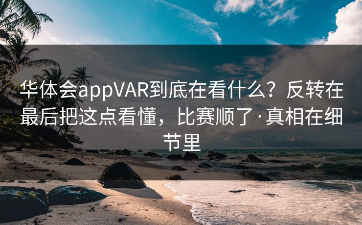 华体会appVAR到底在看什么？反转在最后把这点看懂，比赛顺了·真相在细节里
